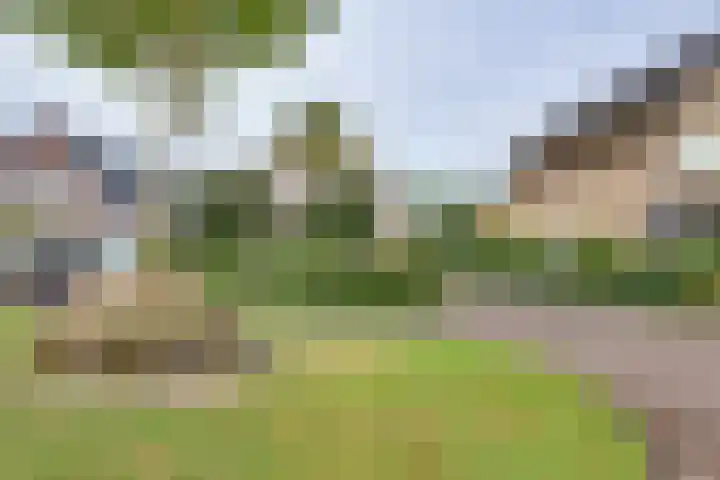 Wiedenland 15 Nieuwleusen thumbnail 44