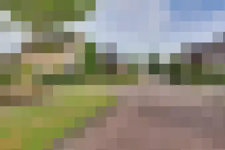 Wiedenland 15 Nieuwleusen thumbnail 45