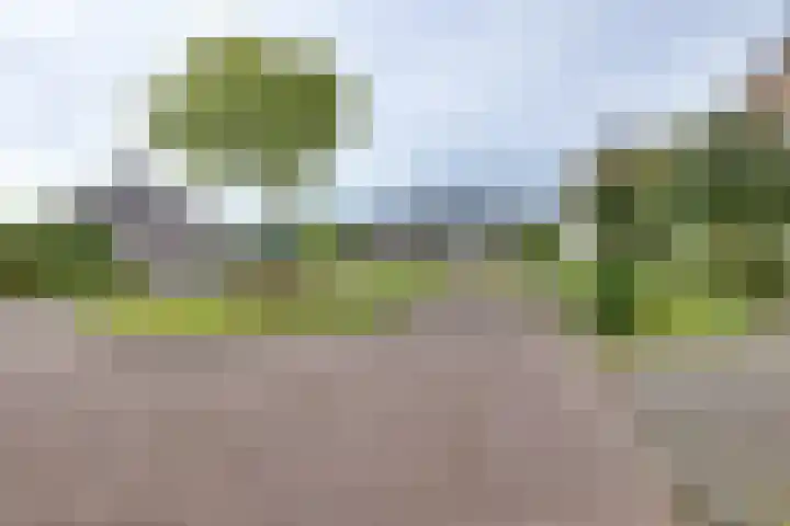 Wiedenland 15 Nieuwleusen thumbnail 46