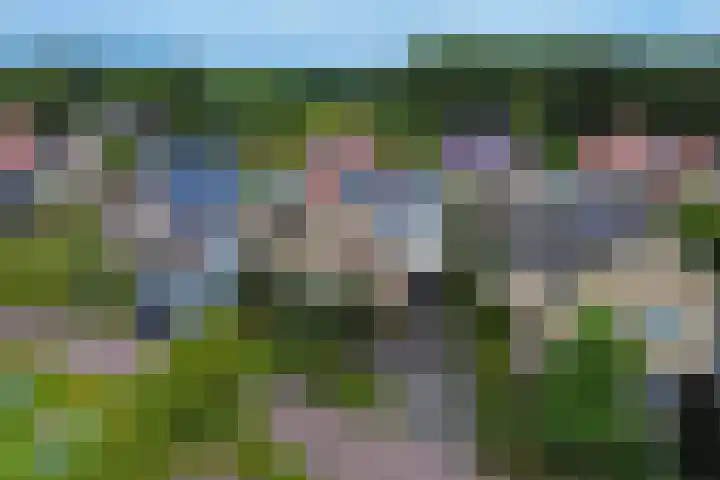 Wiedenland 15 Nieuwleusen thumbnail 47