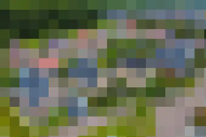 Wiedenland 15 Nieuwleusen thumbnail 48