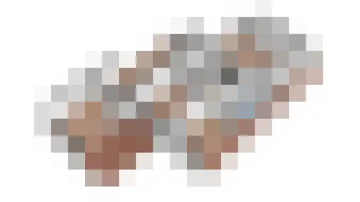 Wiedenland 15 Nieuwleusen thumbnail 55