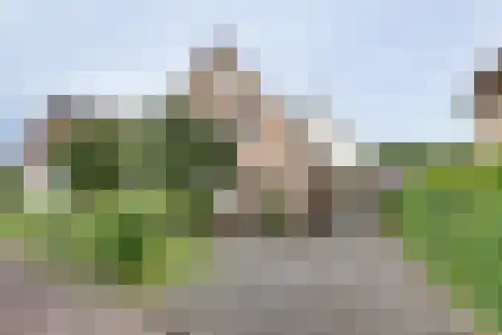 Wiedenland 15 Nieuwleusen thumbnail 59