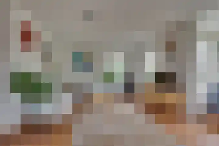 Wiedenland 15 Nieuwleusen thumbnail 6