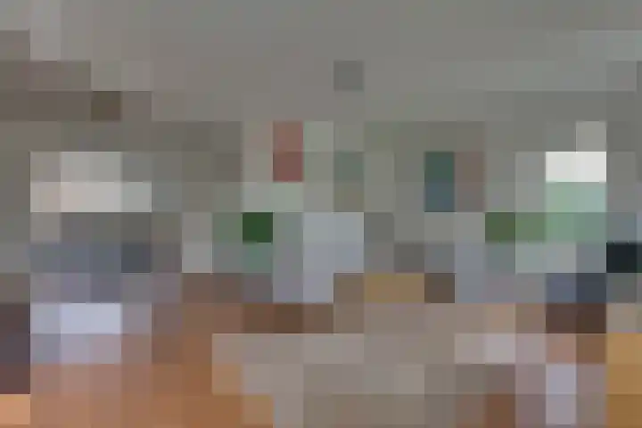 Wiedenland 15 Nieuwleusen thumbnail 8