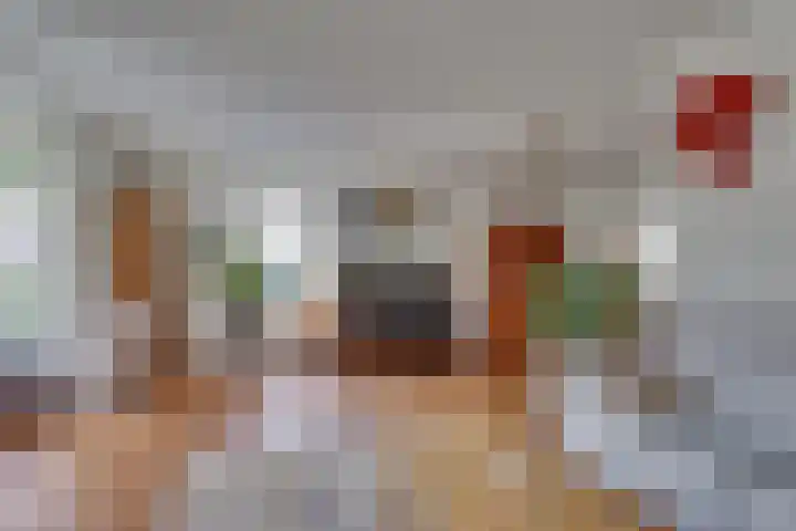 Wiedenland 15 Nieuwleusen thumbnail 9