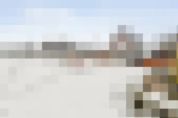 Wiedenland 20 Nieuwleusen thumbnail 11