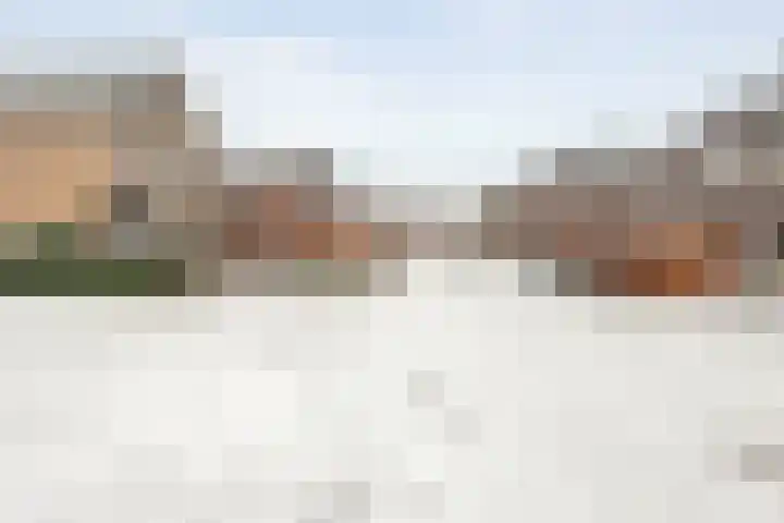 Wiedenland 20 Nieuwleusen thumbnail 12