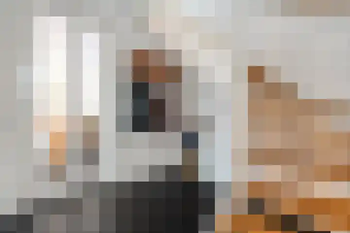 Wiedenland 20 Nieuwleusen thumbnail 19