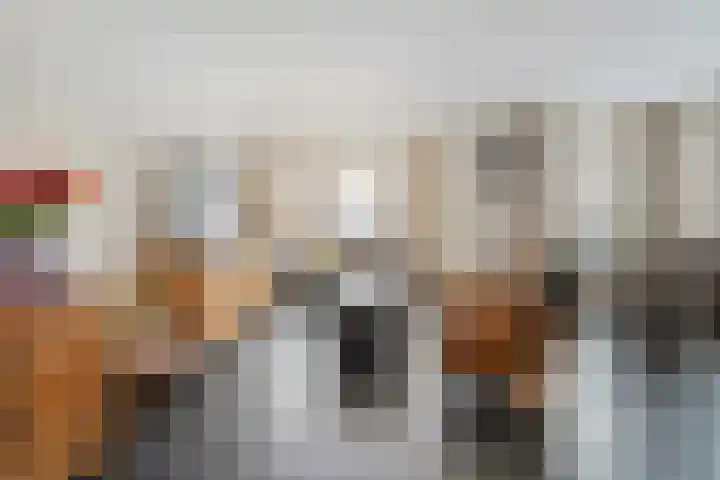 Wiedenland 20 Nieuwleusen thumbnail 20