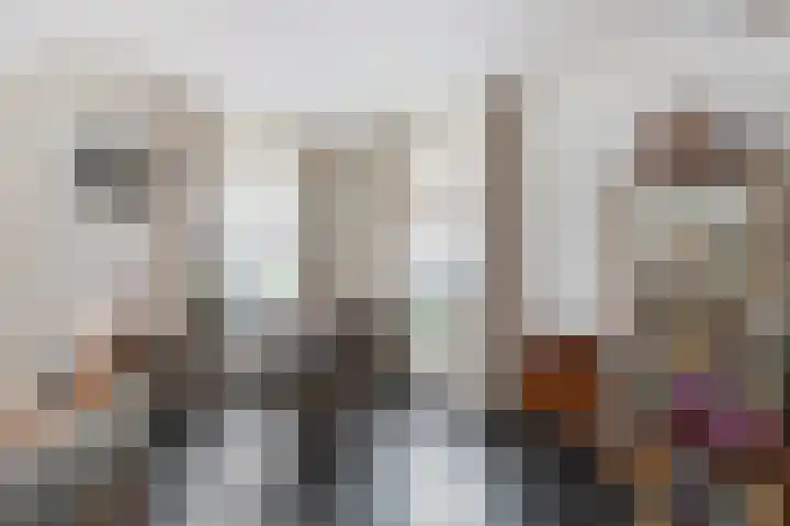 Wiedenland 20 Nieuwleusen thumbnail 21
