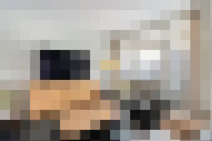Wiedenland 20 Nieuwleusen thumbnail 23
