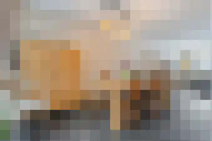 Wiedenland 20 Nieuwleusen thumbnail 25