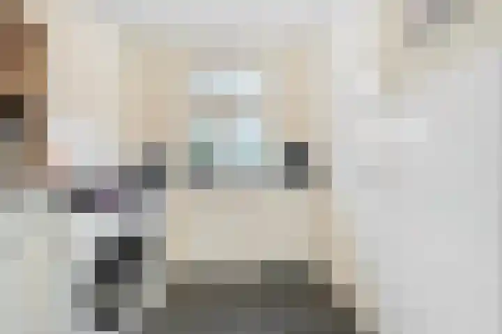 Wiedenland 20 Nieuwleusen thumbnail 29