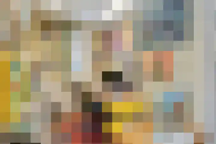 Wiedenland 20 Nieuwleusen thumbnail 30