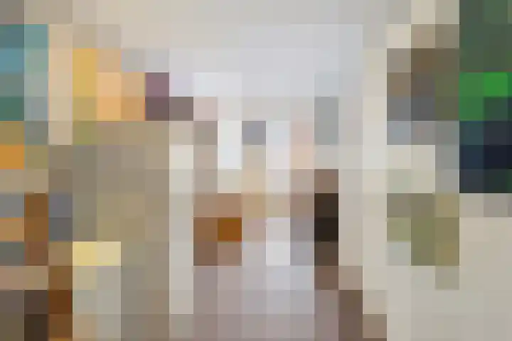 Wiedenland 20 Nieuwleusen thumbnail 32