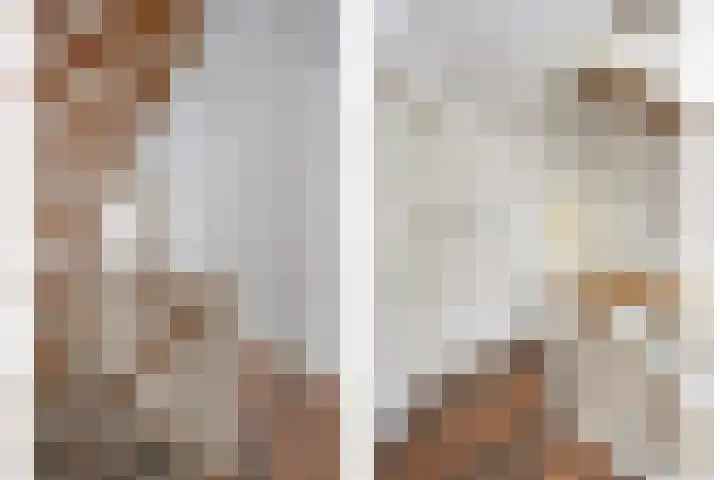 Wiedenland 20 Nieuwleusen thumbnail 33