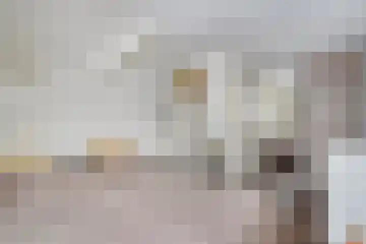 Wiedenland 20 Nieuwleusen thumbnail 35