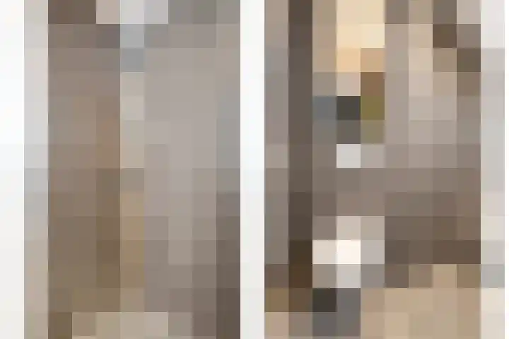 Wiedenland 20 Nieuwleusen thumbnail 36