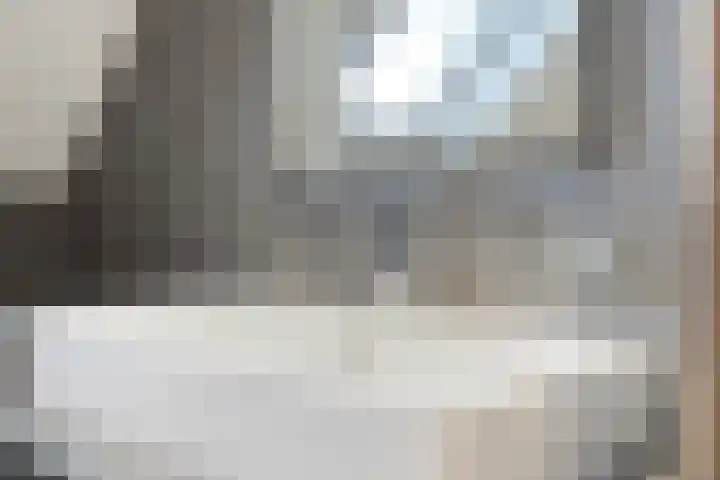 Wiedenland 20 Nieuwleusen thumbnail 37