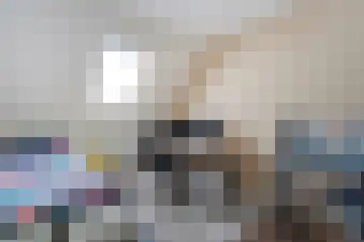 Wiedenland 20 Nieuwleusen thumbnail 38