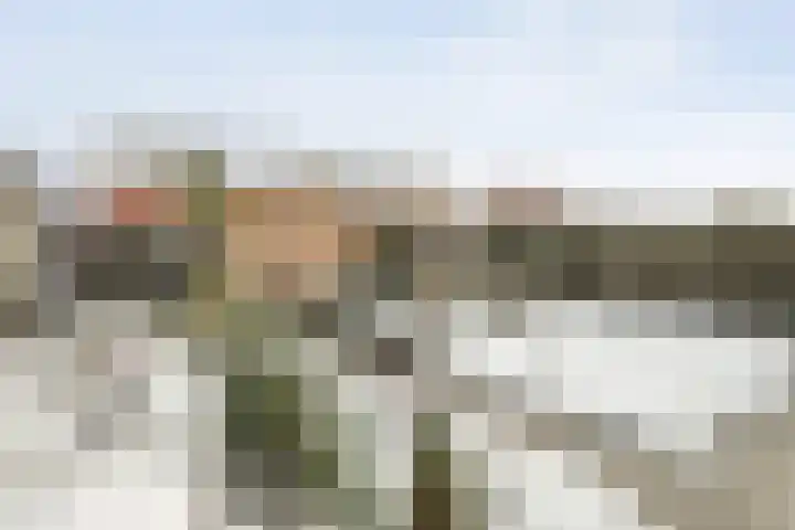 Wiedenland 20 Nieuwleusen thumbnail 44