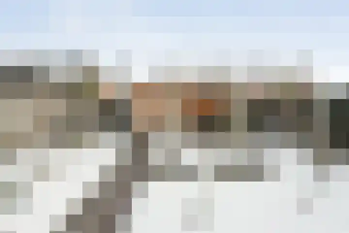 Wiedenland 20 Nieuwleusen thumbnail 45