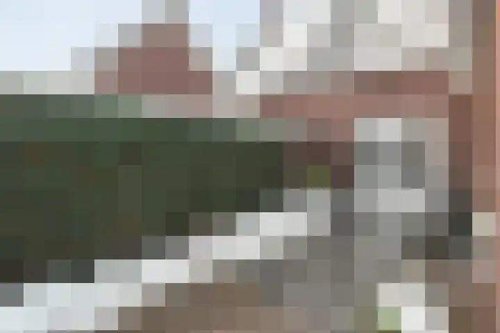 Wiedenland 20 Nieuwleusen thumbnail 46
