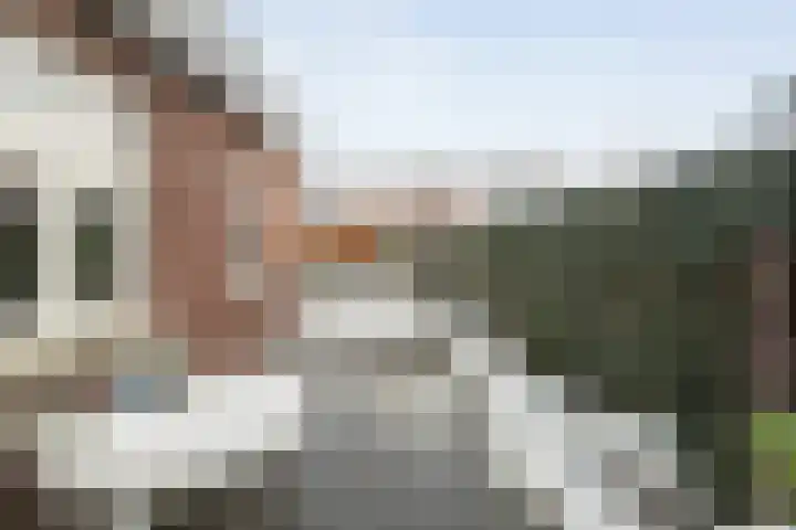 Wiedenland 20 Nieuwleusen thumbnail 47