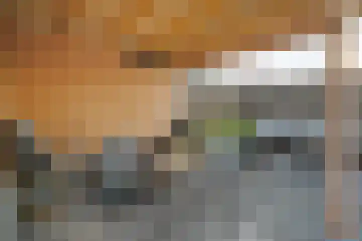 Wiedenland 20 Nieuwleusen thumbnail 48