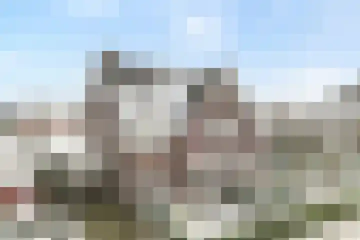 Wiedenland 20 Nieuwleusen thumbnail 5