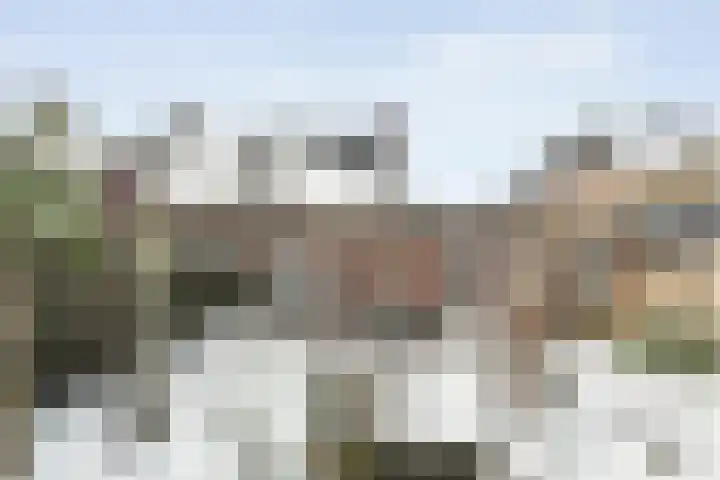 Wiedenland 20 Nieuwleusen thumbnail 50