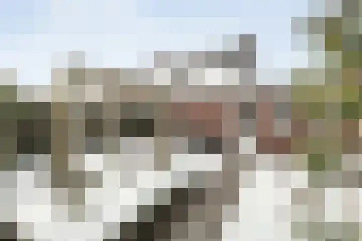 Wiedenland 20 Nieuwleusen thumbnail 51