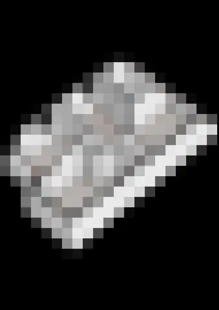 Wiedenland 20 Nieuwleusen thumbnail 55
