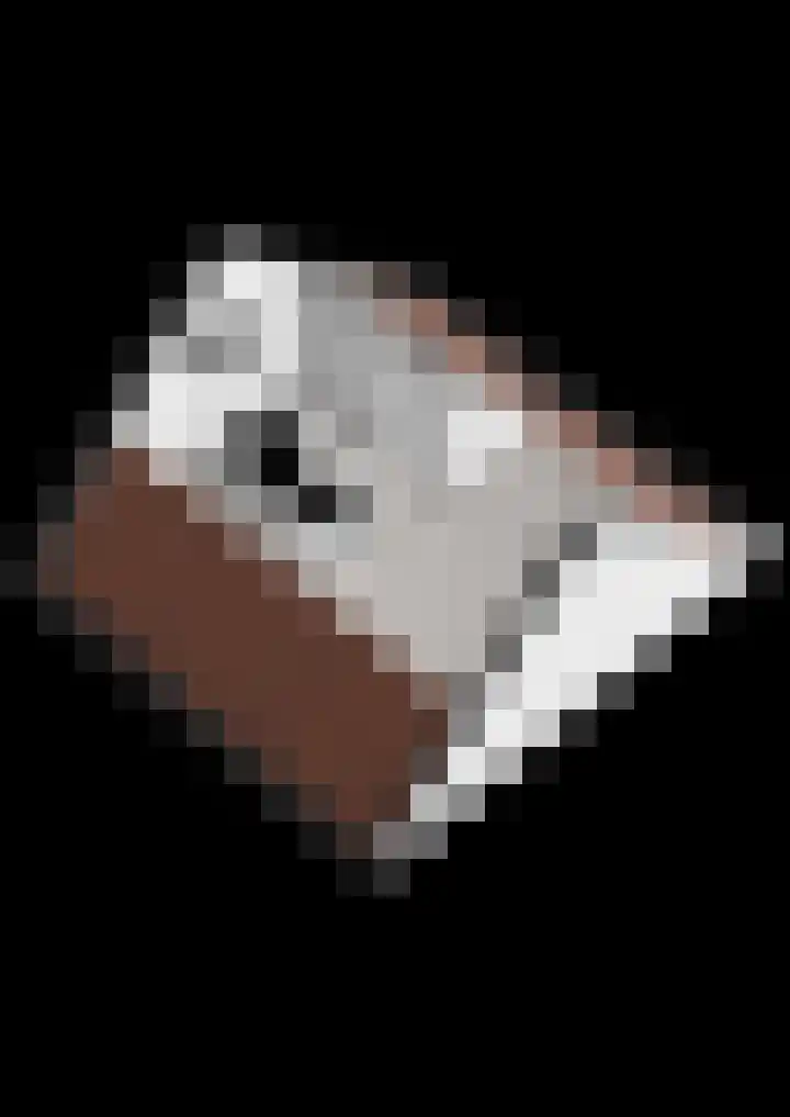 Wiedenland 20 Nieuwleusen thumbnail 57