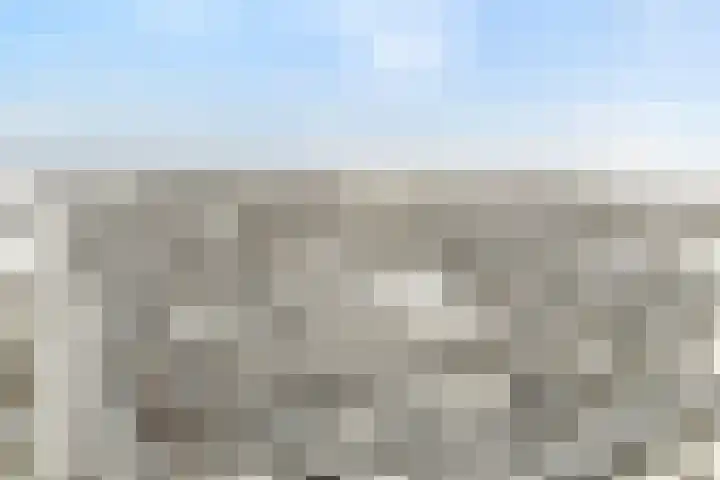 Wiedenland 20 Nieuwleusen thumbnail 6