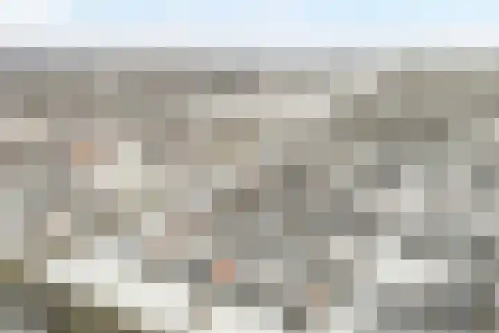 Wiedenland 20 Nieuwleusen thumbnail 7