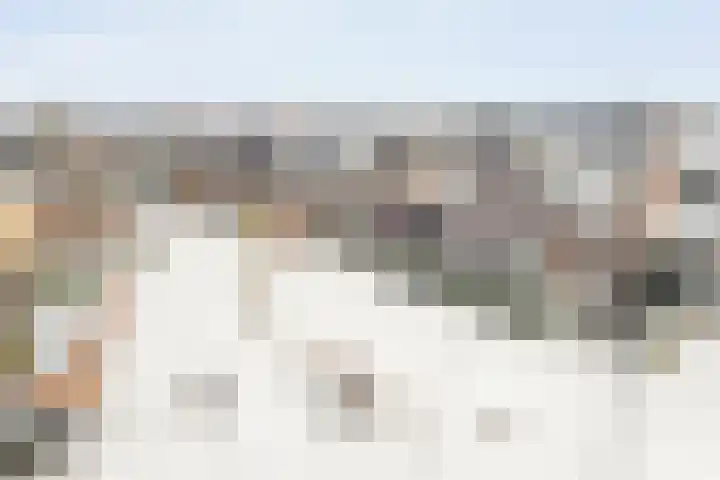 Wiedenland 20 Nieuwleusen thumbnail 9