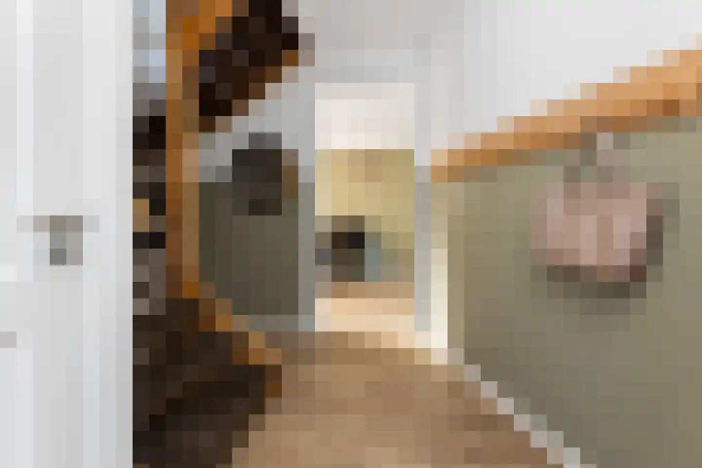 Wiedenland 32 Nieuwleusen thumbnail 10