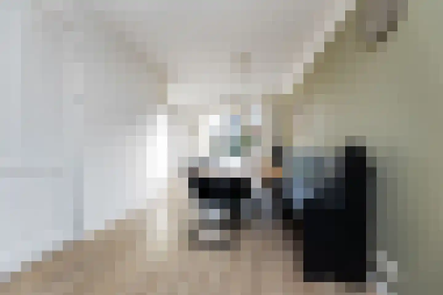 Wiedenland 32 Nieuwleusen thumbnail 14