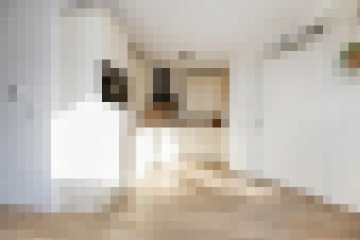 Wiedenland 32 Nieuwleusen thumbnail 16