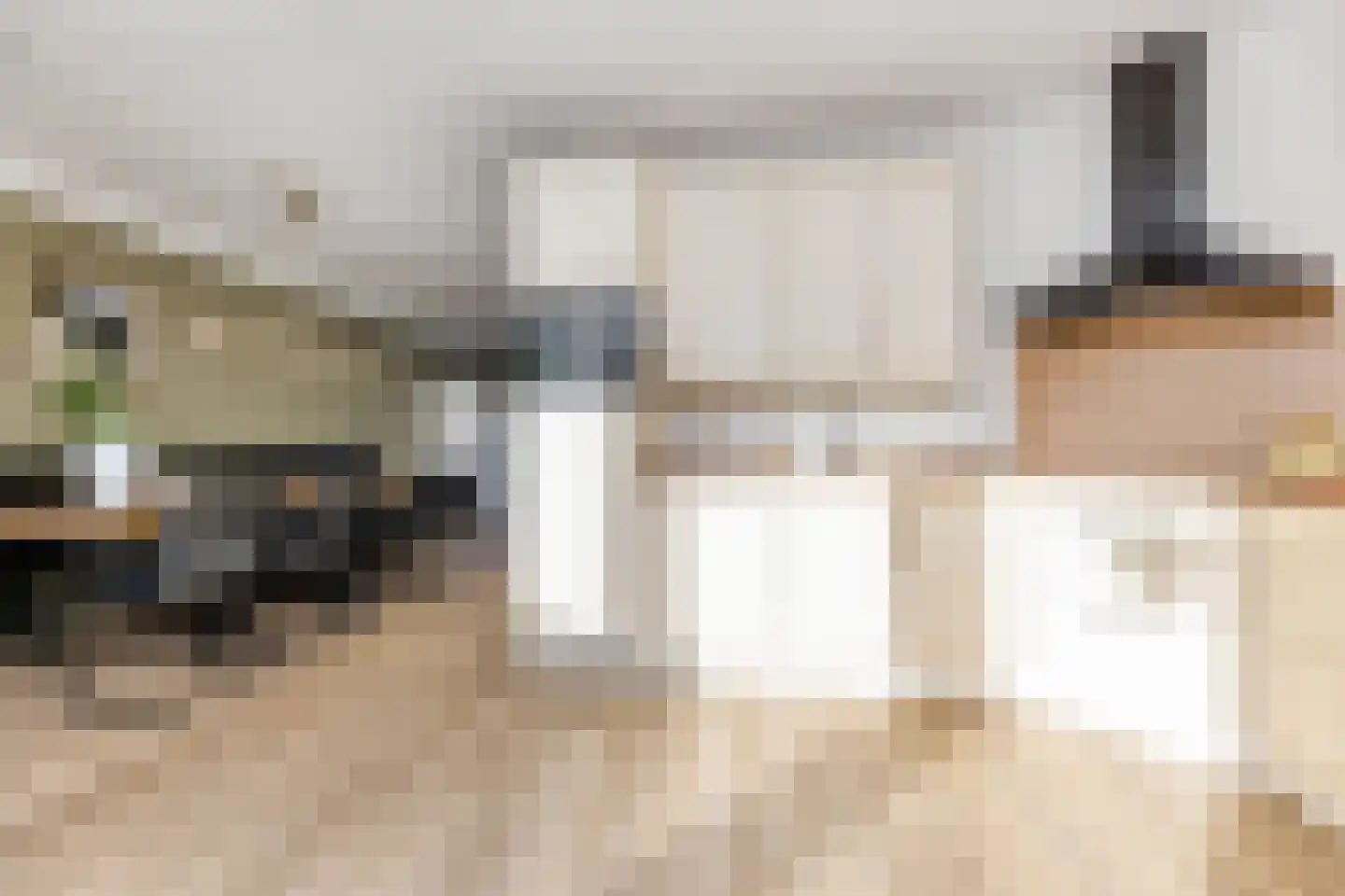 Wiedenland 32 Nieuwleusen thumbnail 17