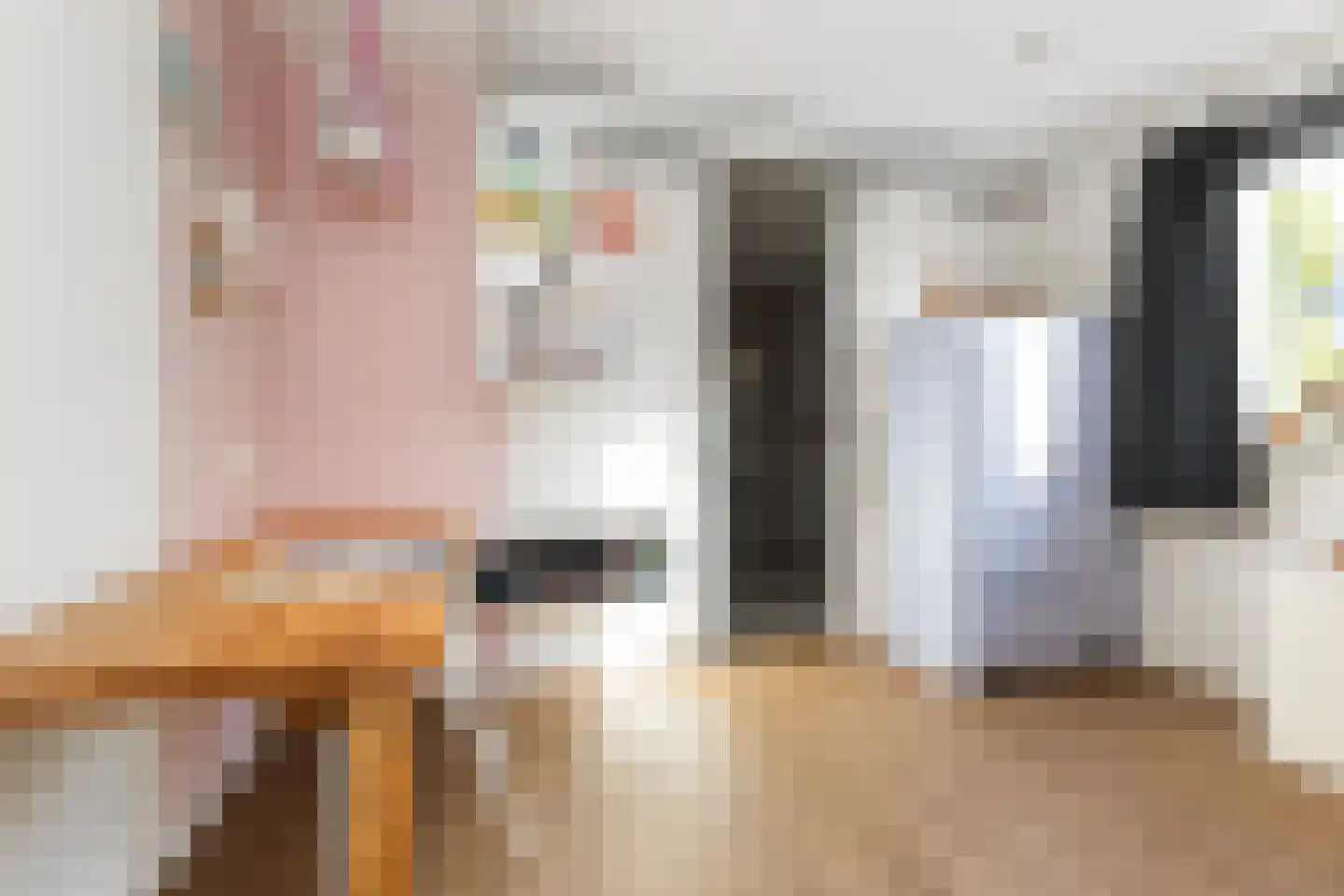 Wiedenland 32 Nieuwleusen thumbnail 19