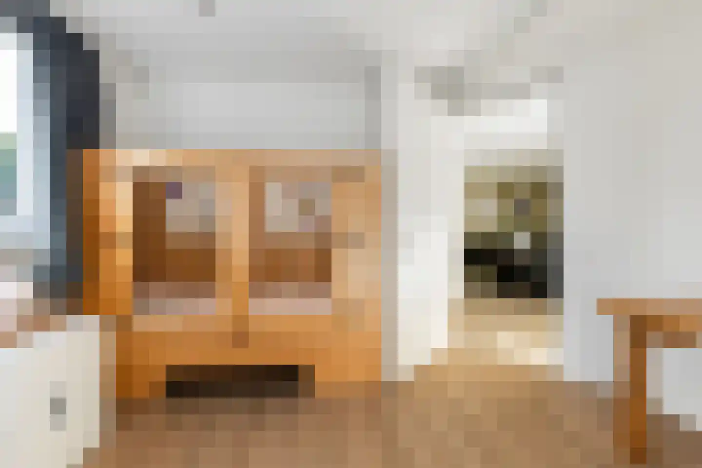 Wiedenland 32 Nieuwleusen thumbnail 20