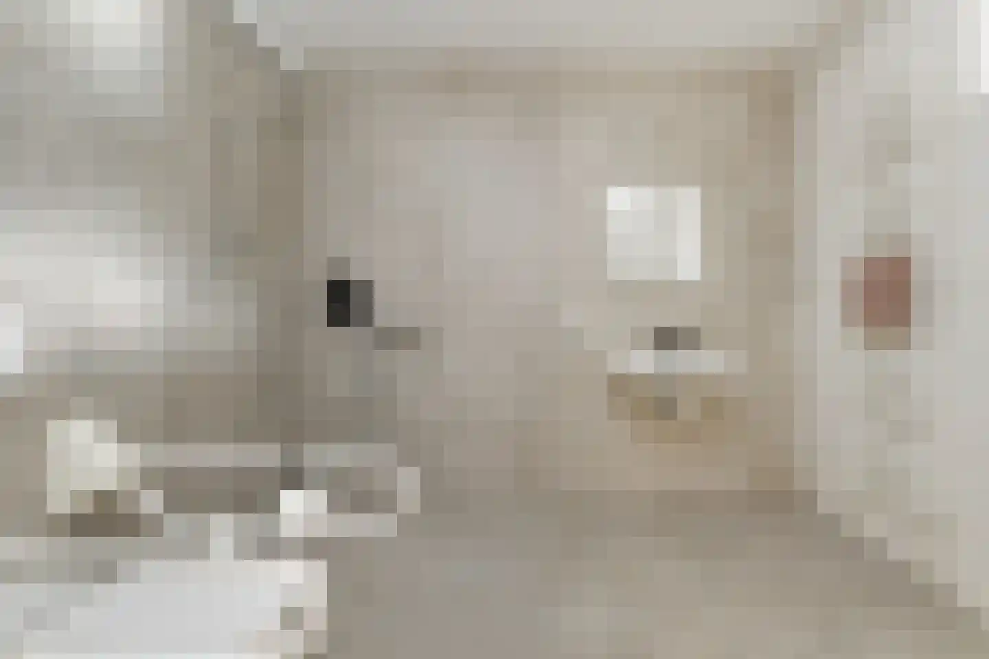 Wiedenland 32 Nieuwleusen thumbnail 21