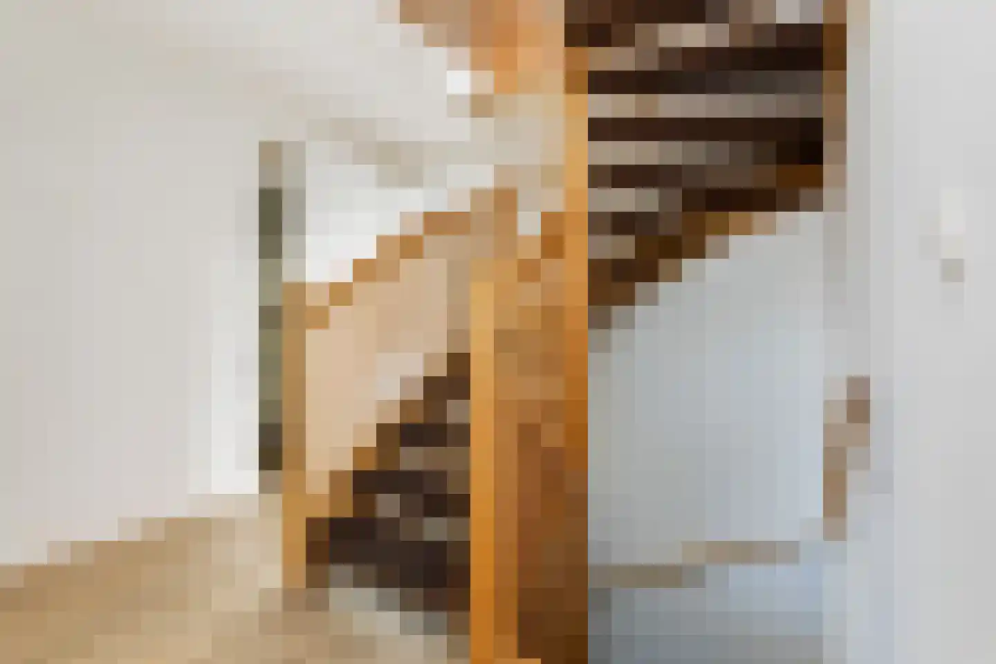 Wiedenland 32 Nieuwleusen thumbnail 28