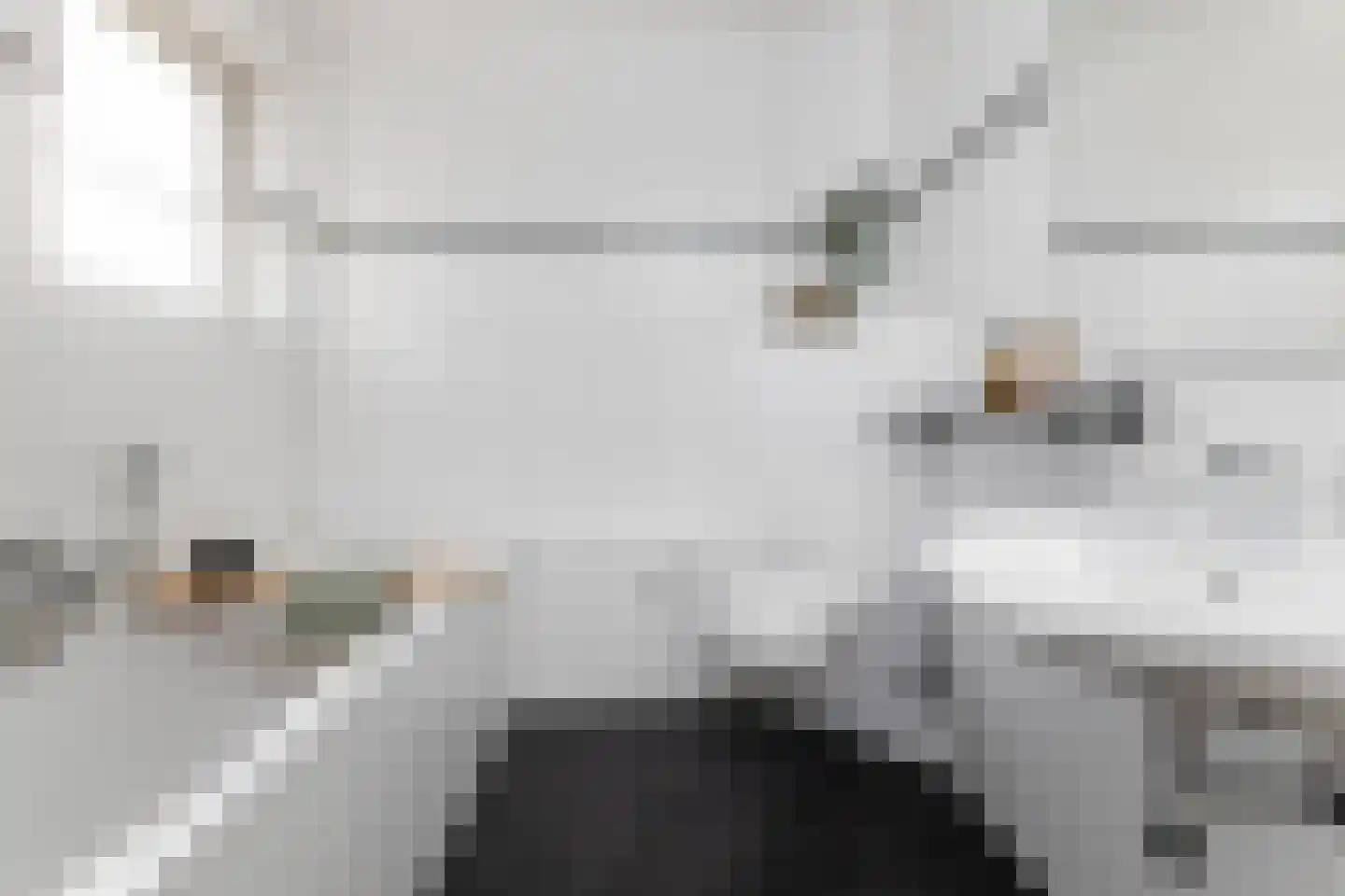 Wiedenland 32 Nieuwleusen thumbnail 30