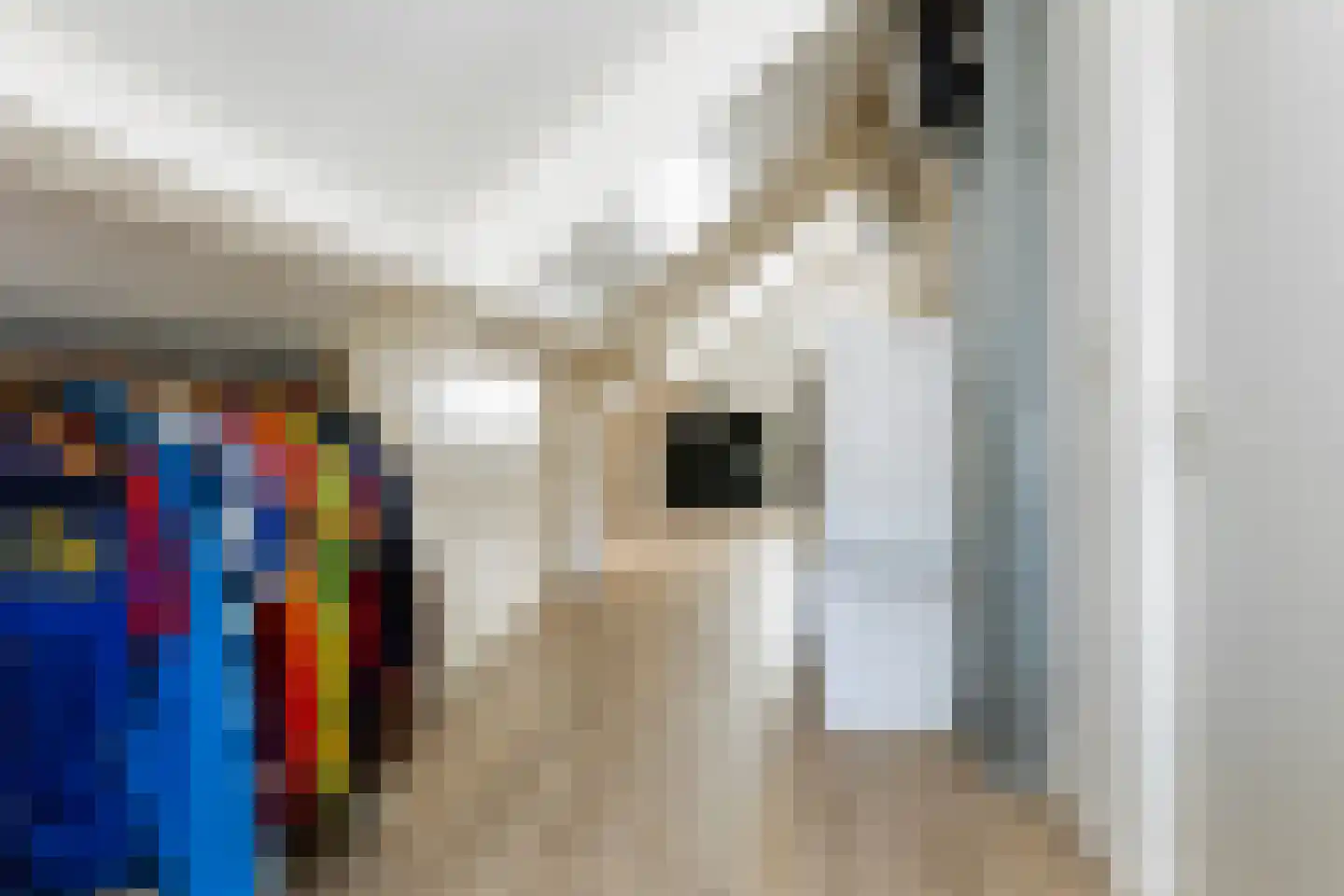 Wiedenland 32 Nieuwleusen thumbnail 32