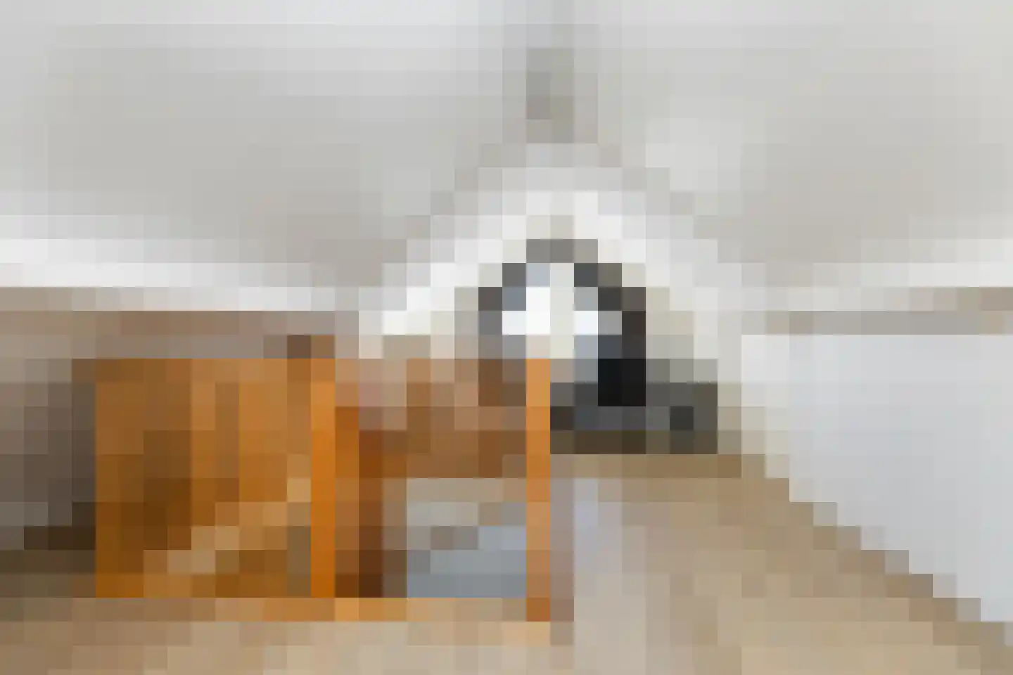 Wiedenland 32 Nieuwleusen thumbnail 34