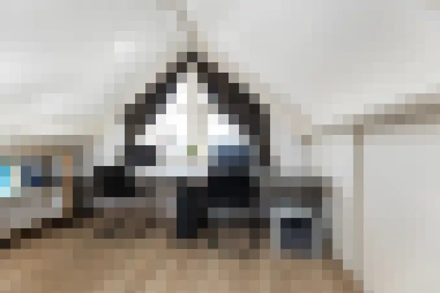 Wiedenland 32 Nieuwleusen thumbnail 36